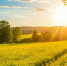 Тепло и солнечно - MyOmutninsk.Ru