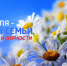 Навстречу Дню семьи, любви и верности. Афиша праздника - Администрация г. Курган