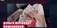 Видео - ТВН