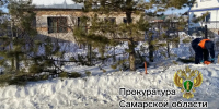 В Самарской области завершили расследование убийства и расчленения - ProGorodSamara.Ru