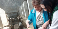 В Челябинской области аннулировали более 100 деклараций на зерно - Pchela.News