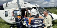 Упавшего с дерева мужчину доставили в Уфу санавиацией - Сетевое издание Республика Башкортостан