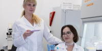 Ученые СевГУ проводят уникальные эксперименты с клетками в экстремальных условиях - СевГУ