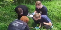Видео. После обнаружения тела 12-летней девочки возбуждено уголовное дело - Газета Тосненский вестник