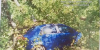 В Курске с муниципалитета взыскали более 735 тыс.рублей за упавшее на авто дерево - Курские Известия