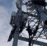 Мобильная связь и 4G-интернет появятся еще в 12 населенных пунктах Кировской области - Кировская правда