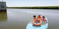 В Пролетарском районе ежедневно патрулируют водные объекты - Пролетарский район
