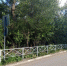 img - ЛДПР