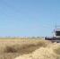 Фото: кадр видео ВК-группы Минсельхоза РД - НИА-Кубань