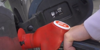 Рынок нефтепродуктов Воронежской области: стабильность цен и точечная корректировка логистики - Промышленные вести