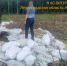 Отходы в одно и то же место не падают. Эконадзор окружил «Газель» в Новом Девяткино - 47 новостей