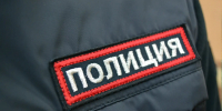 В Ставрополе полицейские нашли похитителя саженцев с городских клумб - Телеканал СвоёТВ