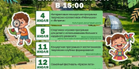 афиша - Выборгский район