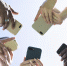 Поддержка этих смартфонов Xiaomi, POCO и Redmi официально прекратилась - Кубанские Новости