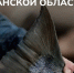 Минтуризма - ИА Nord-News.Ru