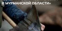 Минтуризма - ИА Nord-News.Ru