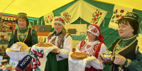 «День поля» - Городищенская МЦРБ