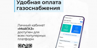 Цифровой учет набирает обороты: почти 5 тысяч пользователей газом перешли в личный кабинет с начала года - Shadr.Info