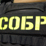 При содействии спецназа Росгвардии задержан подозреваемый в незаконном хранении арсенала оружия и боеприпасов в Подмосковье (видео) - Росгвардия