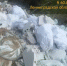 Повторная свалка во Всеволожском районе обернулась для нарушителей административным делом - Spbdnevnik.ru
