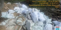 Повторная свалка во Всеволожском районе обернулась для нарушителей административным делом - Spbdnevnik.ru