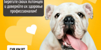 Поздравляем с Всемирным днём собак! - Главное управление ветеринарии