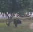 гибель - Петрозаводск говорит