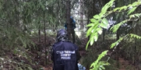 В Ленинградской области в рамках расследования уголовного дела обнаружено тело ранее пропавшей несовершеннолетней девочки - Следственный комитет