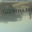«Нижнекамскнефтехим» выпустил в Каму миллионного малька стерляди - ТРК Татарстан-Новый век