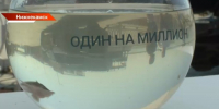 «Нижнекамскнефтехим» выпустил в Каму миллионного малька стерляди - ТРК Татарстан-Новый век