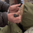 В Стругокрасненском районе завершено расследование уголовного дела в отношении мужчины, обвиняемого в убийстве знакомого - Следственный комитет