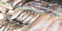 Россельхознадзор выявил фантомное производство рыбной продукции в Нижегородской области - ProDzer.Ru