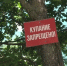 «Смертельно опасный отдых»: МЧС предупреждает о рисках купания на неофициальных пляжах - 9 Канал Старый Оскол