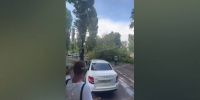 Во дворе дома на улице Хользунова в Воронеже дерево рухнуло на 2 машины - РИА Воронеж