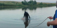 Девочка утонула в пруду в Саратовской области - SaratovNews.Ru
