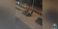 Вора хвойных деревьев и цветов из клумб нашли в Ставрополе - ATVmedia.Ru