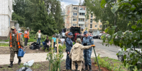 В сквере Жуковского в Петрозаводске высадили 50 деревьев и кустарников - StolicaOnego.Ru