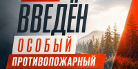 IMG_20260702_211233_234 - Город Инкерман