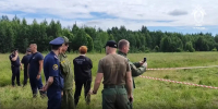 Мужчина на темном авто назван подозреваемым в убийстве школьницы в Ленобласти - Spbdnevnik.ru