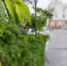 В Магадане +9, +11°C, небольшой дождь - Газета Магаданская правда