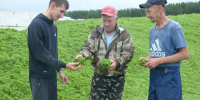 Заготовка кормов в Агрызском районе: дожди мешают, но темп не сдают - Агрызские вести