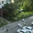JPG Файл - УМВД по Екатеринбургу 