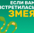 Как уберечься от укуса         змей? - МЧС России