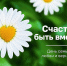 Как в Туле отметят День семьи, любви и верности - ИА Тульская пресса.Ru