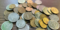 В Коми в промпарке «Зеленец» выставили на продажу гектар земли за 20 миллионов рублей - Pg11.Ru