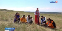 Сбор богородской травы - Вести Хакасия