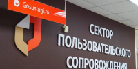Региональный семейный капитал жители Пензенской области могут оформить в течение 12 месяцев - Правительство