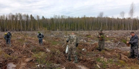 Вернуть жизнь «зелёной кладовой» - Газета Вохомская правда