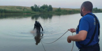 В Аркадакском районе в пруду утонула школьница - Общественное мнение