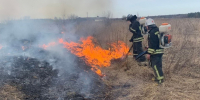 Жителям Ростовской области запретили разводить костры из-за чрезвычайной пожароопасности - Газета Таганрогская правда